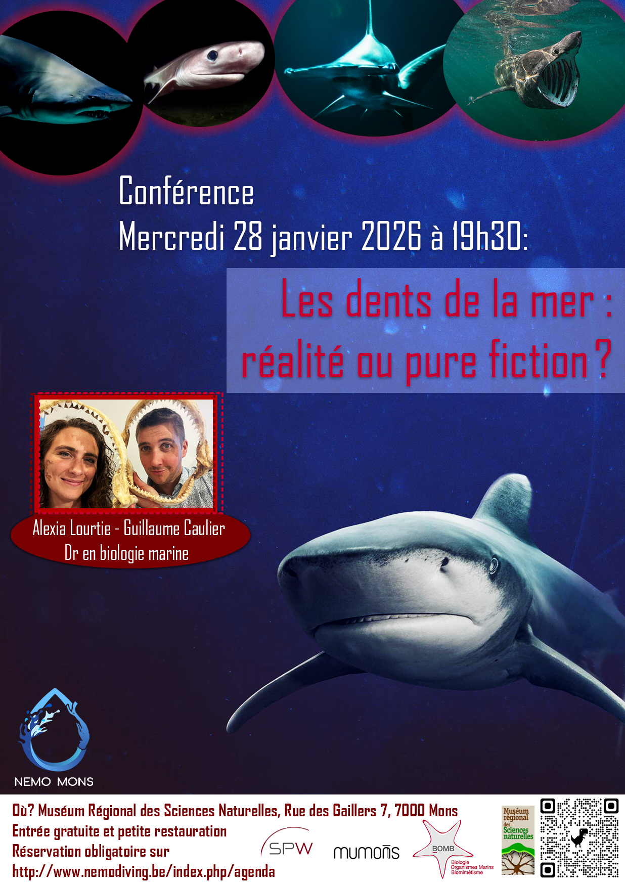 Requin affiche